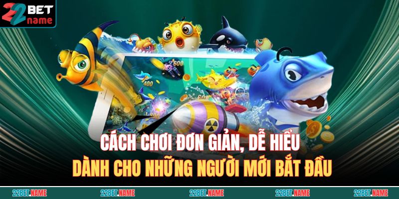 Cách chơi đơn giản, dễ hiểu dành cho những người mới bắt đầu