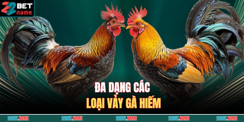 Đa dạng các loại vảy gà hiếm