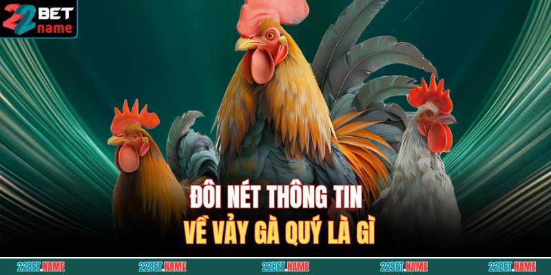 Đôi nét thông tin về vảy gà quý là gì