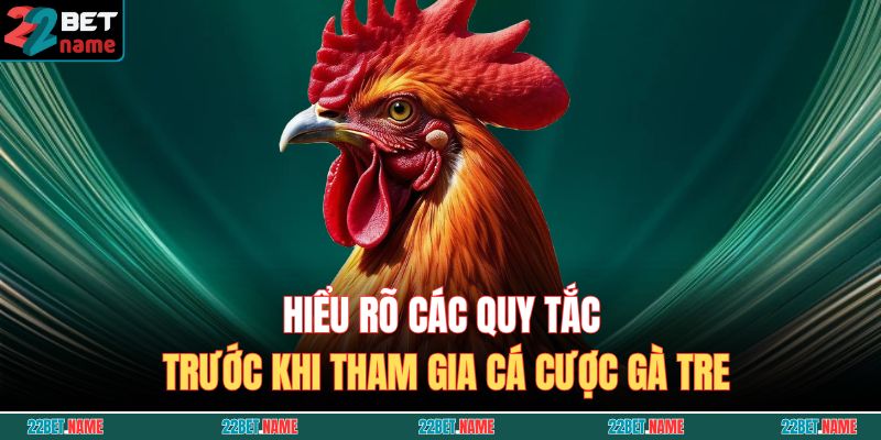 Hiểu rõ các quy tắc trước khi tham gia cá cược gà tre