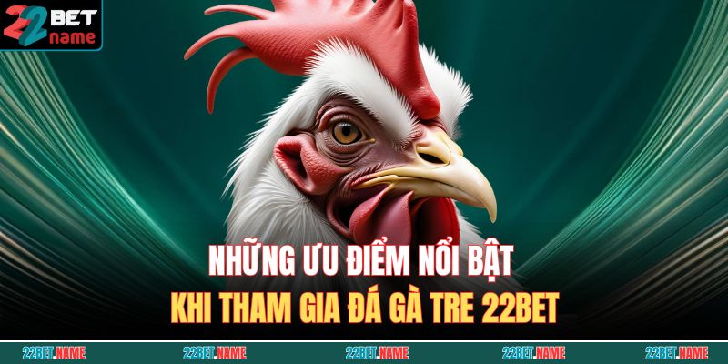 Những ưu điểm nổi bật khi tham gia đá gà tre 22BET